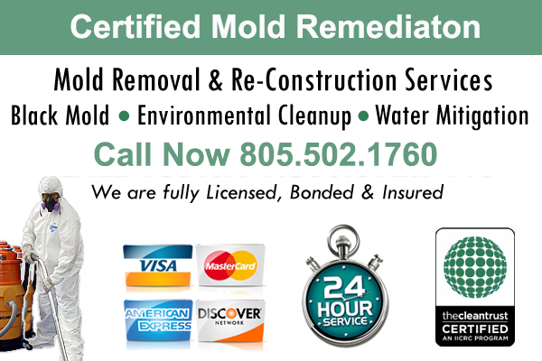 Mold Remediation in Thousand Oaks, CA