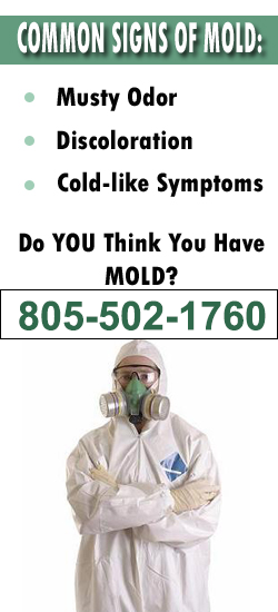 Thousand Oaks Mold Remediation Contractor